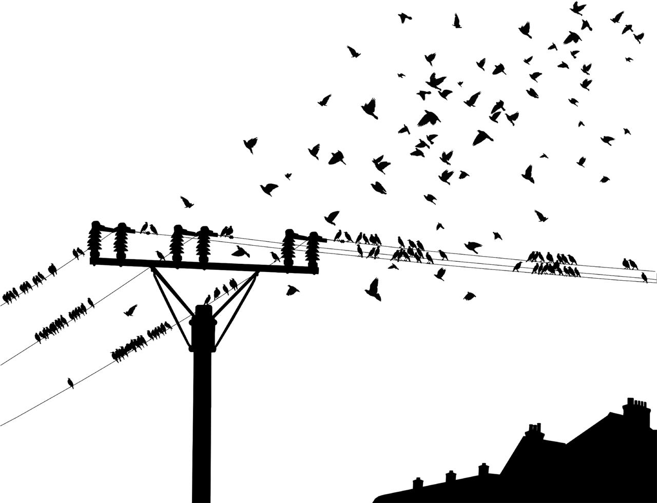 揭秘视觉艺术的魔术，图像透明度的奥秘与创新运用