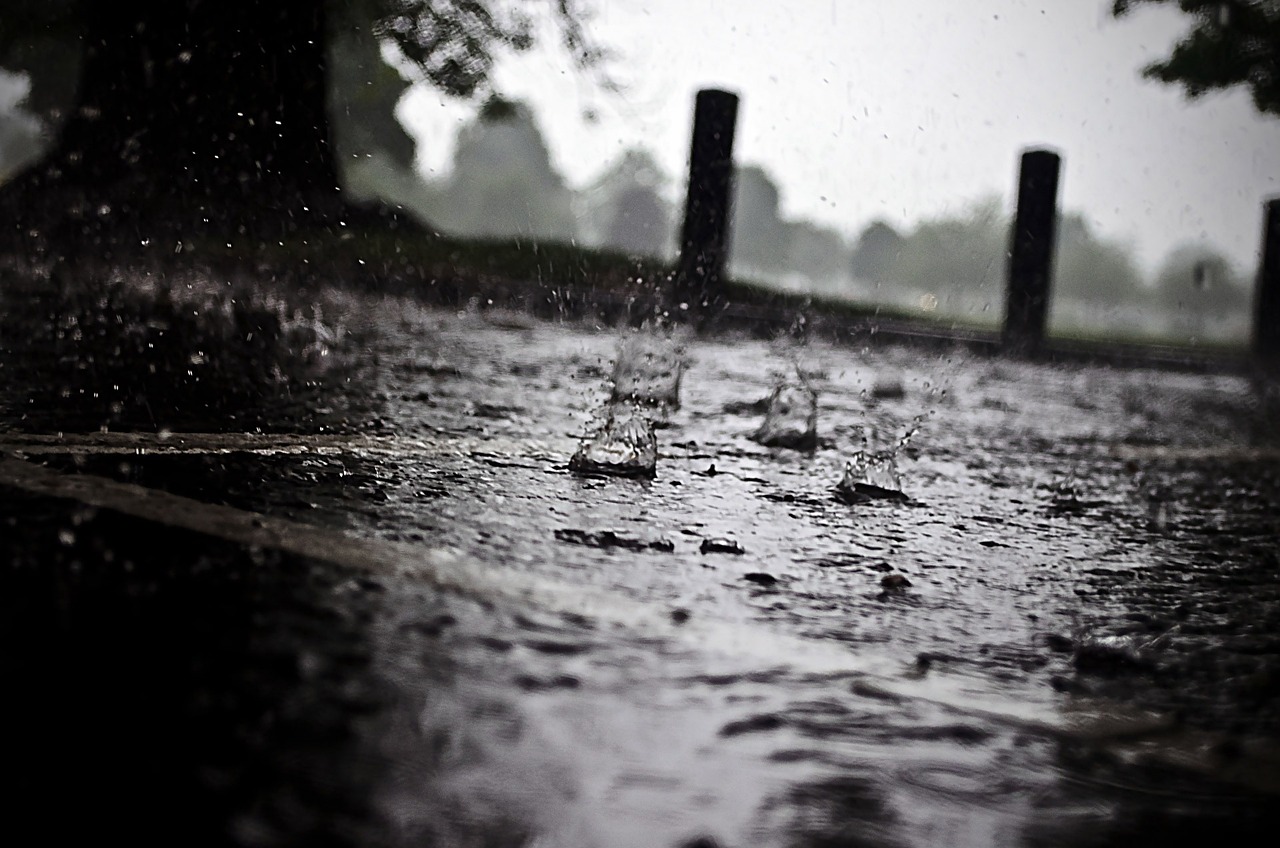 山东发布暴雨黄色预警，应对强降雨天气的挑战