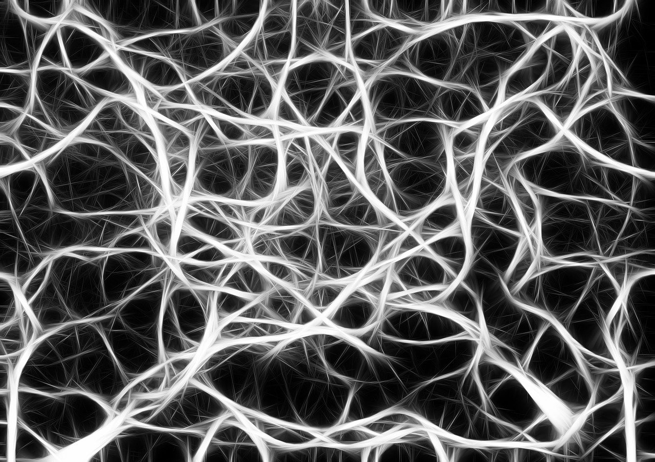 深度解析，数学模型在现实世界中的无尽可能——从基础到应用的全面解读