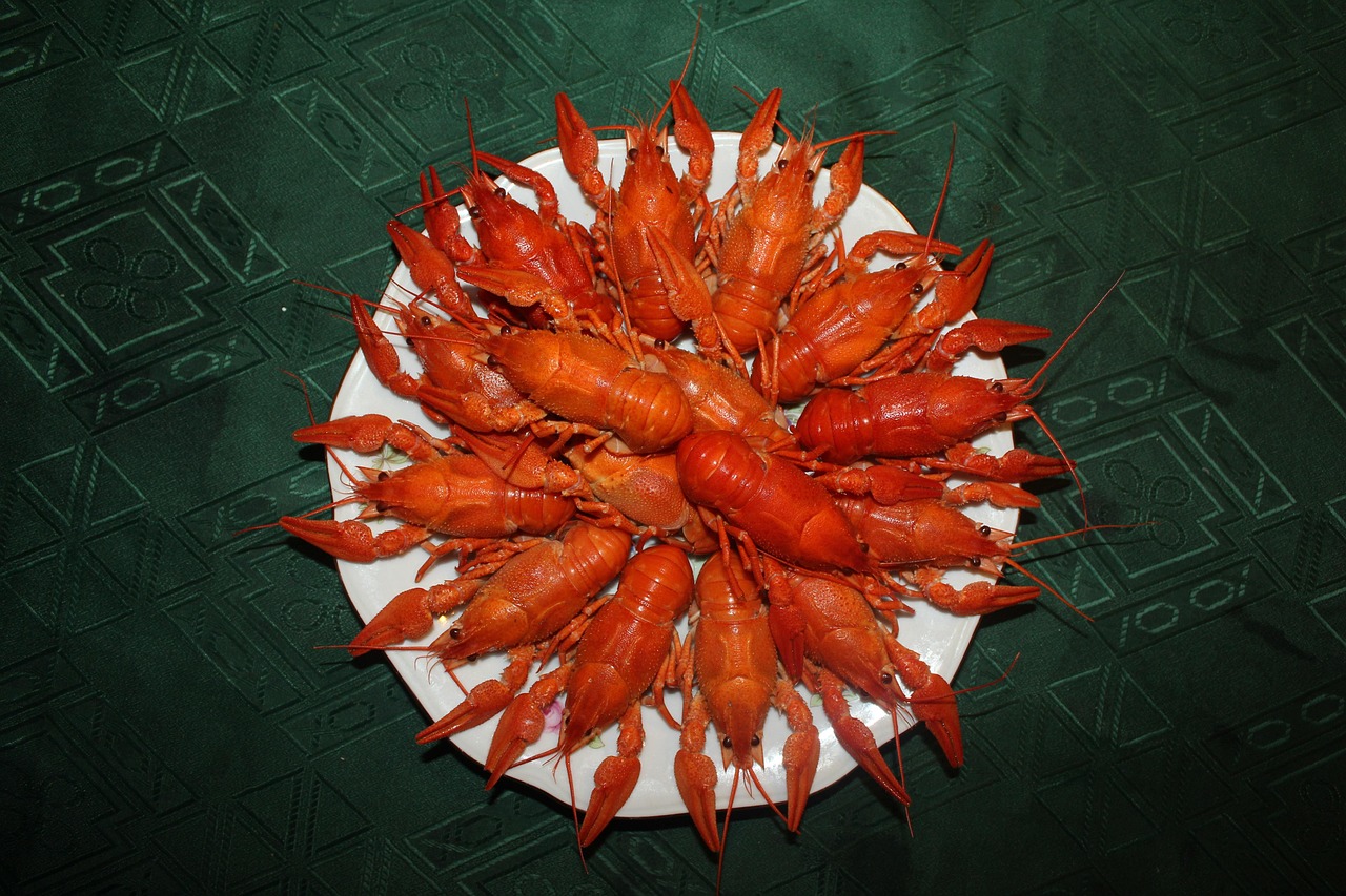 虾跃火海，一锅香—轻松学烧小龙虾，解锁厨房新技能