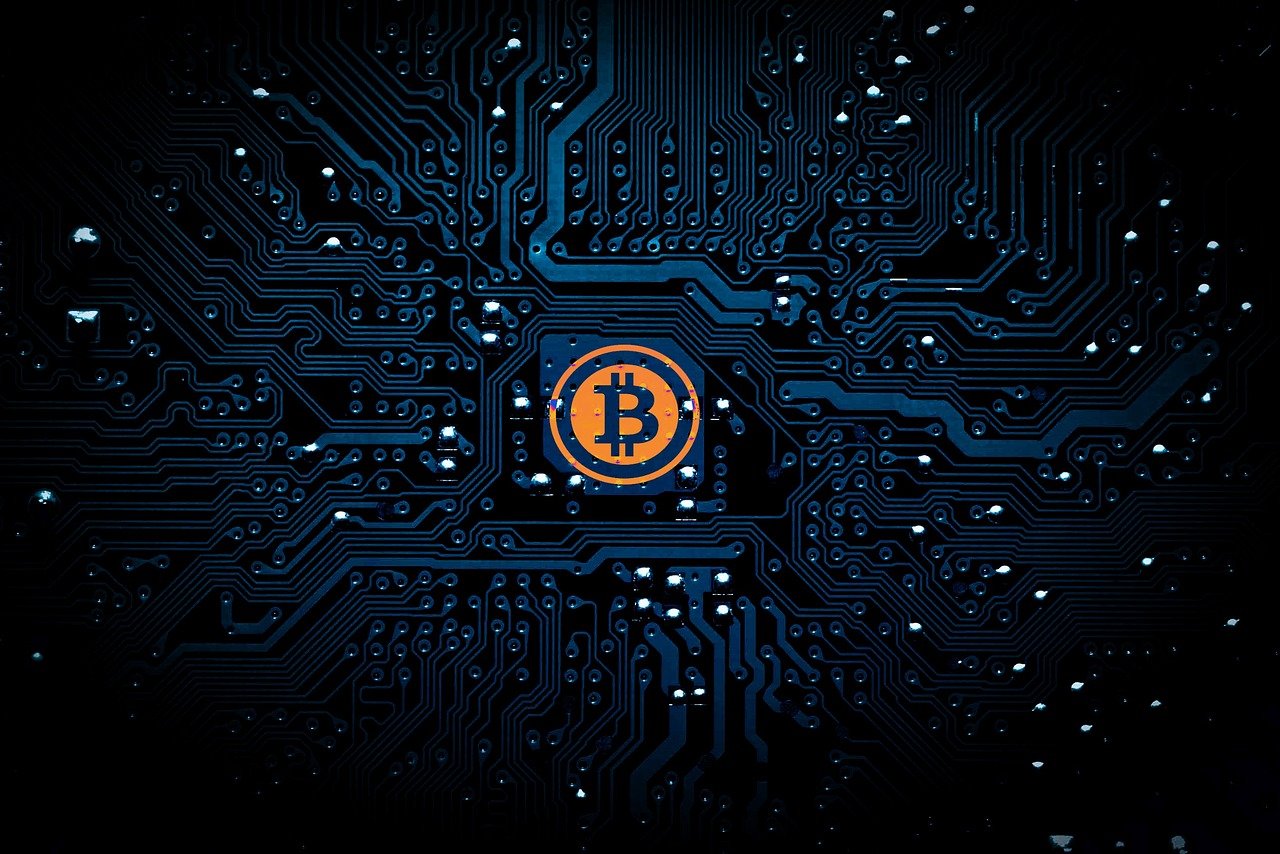 财经网与百度百科，知识的力量与财富的桥梁