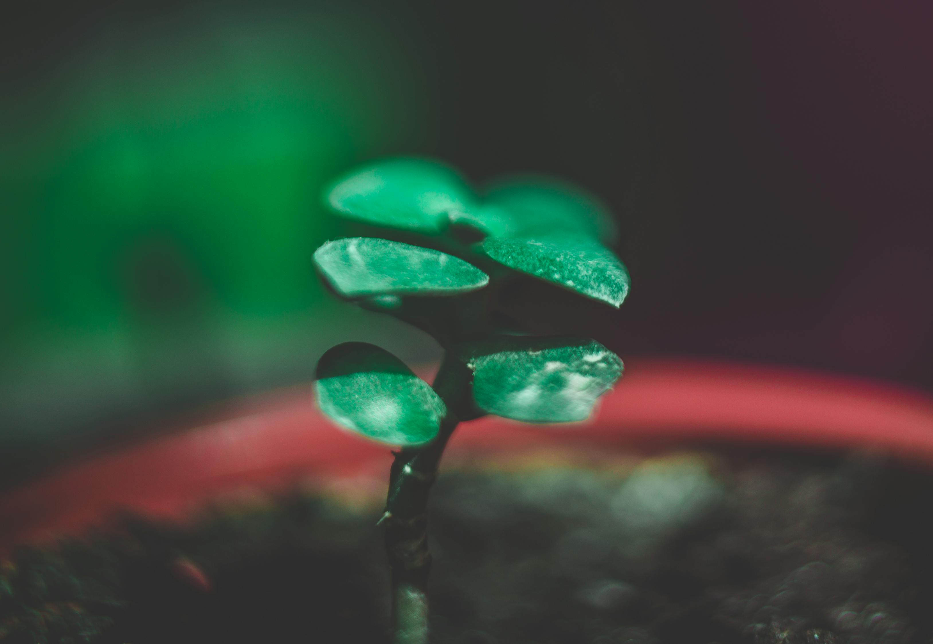 生活经验，不仅仅是岁月的痕迹，更是智慧的沉淀